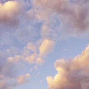 Meet your Posher, Eden